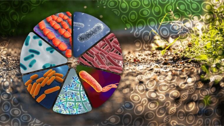 Иллюстрация: alltech.com