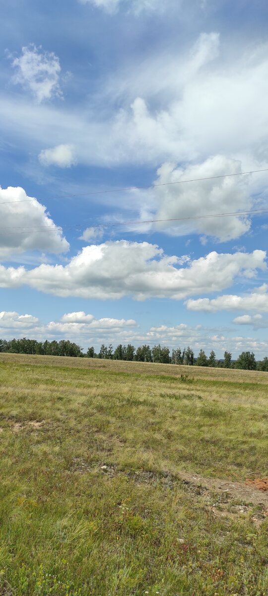 Небо какое красивое. Фото сделано вчера автором. 