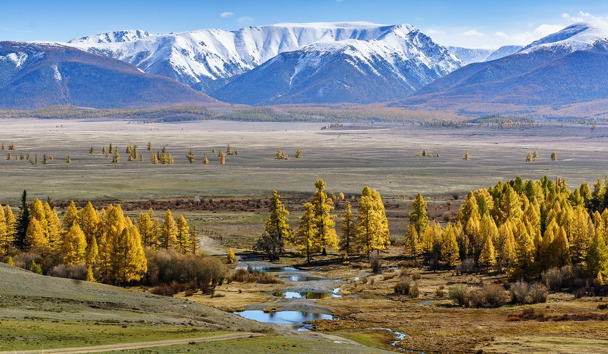 Курайская степь Чуйский тракт