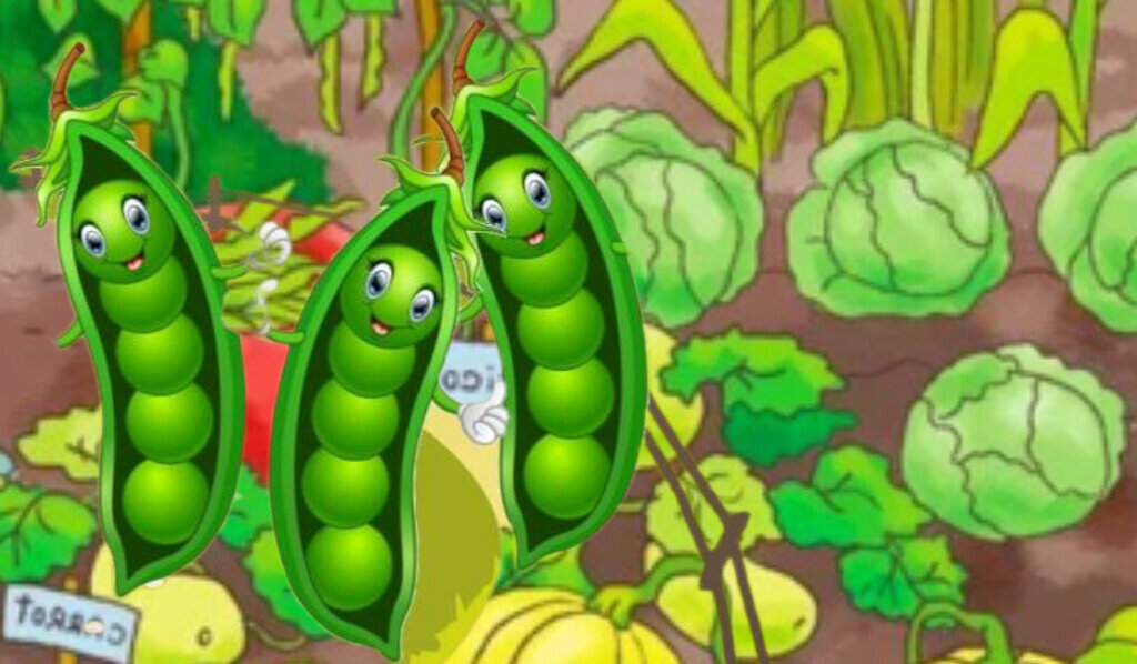 Фото автора канала