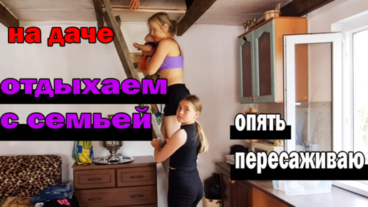 На даче.Отдыхаем с семьей.Готовим плов.Опять пересаживаю