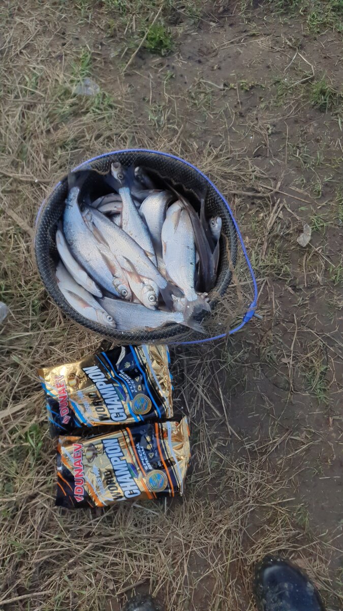Два пакета прикормки и ведро 20л рыбы.