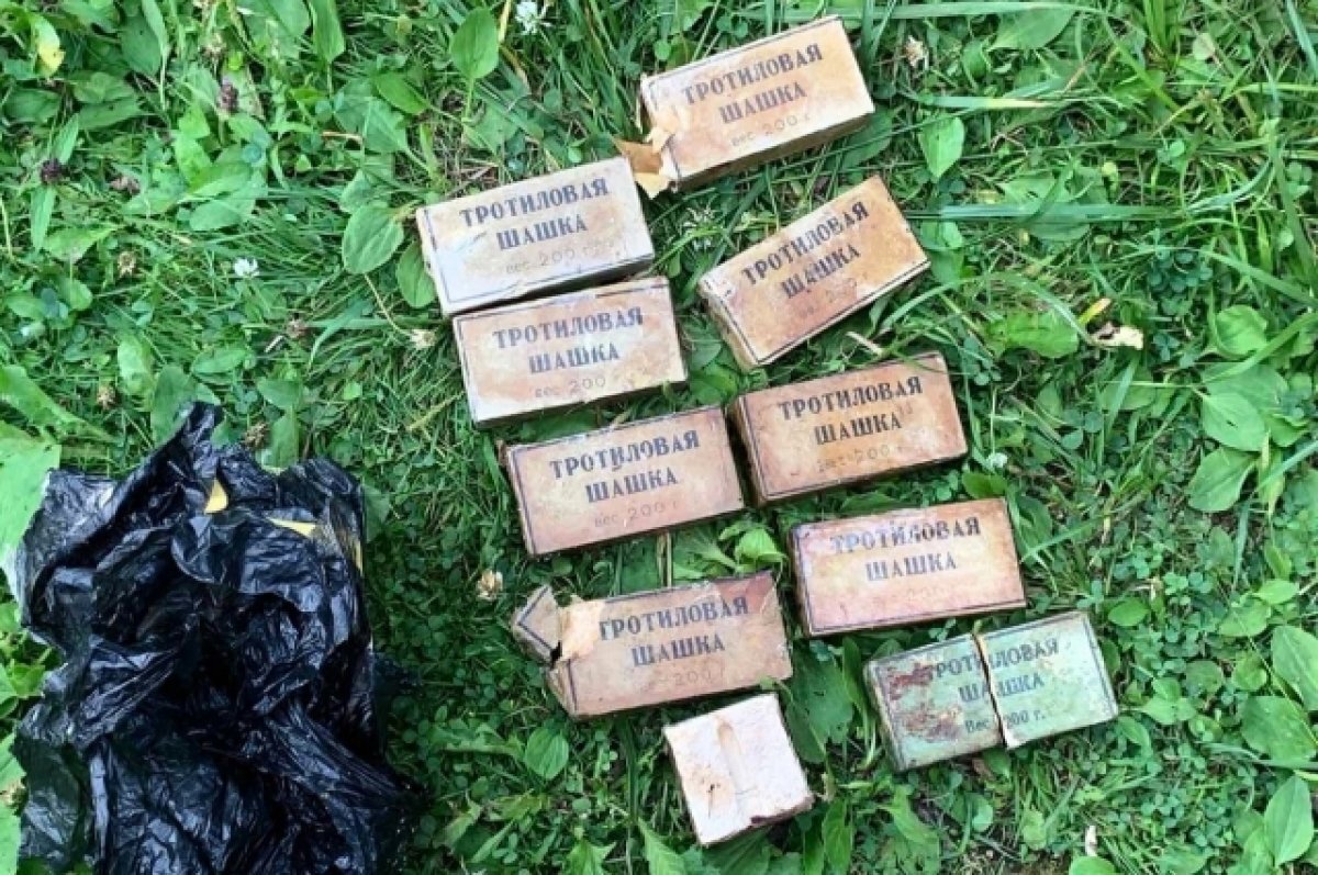    В Прикамье наказали тракториста, хранившего взрывчатку под диваном