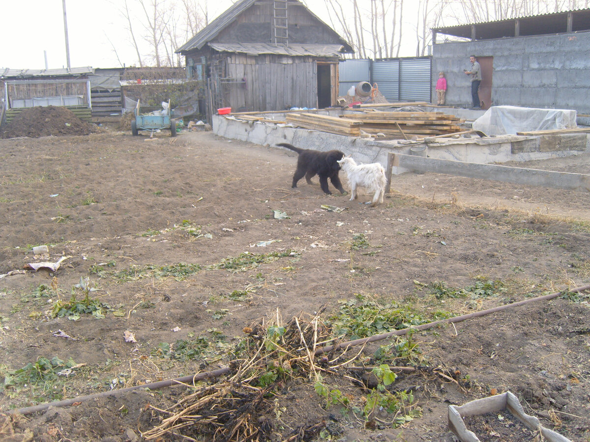 Привет новая подружка. 