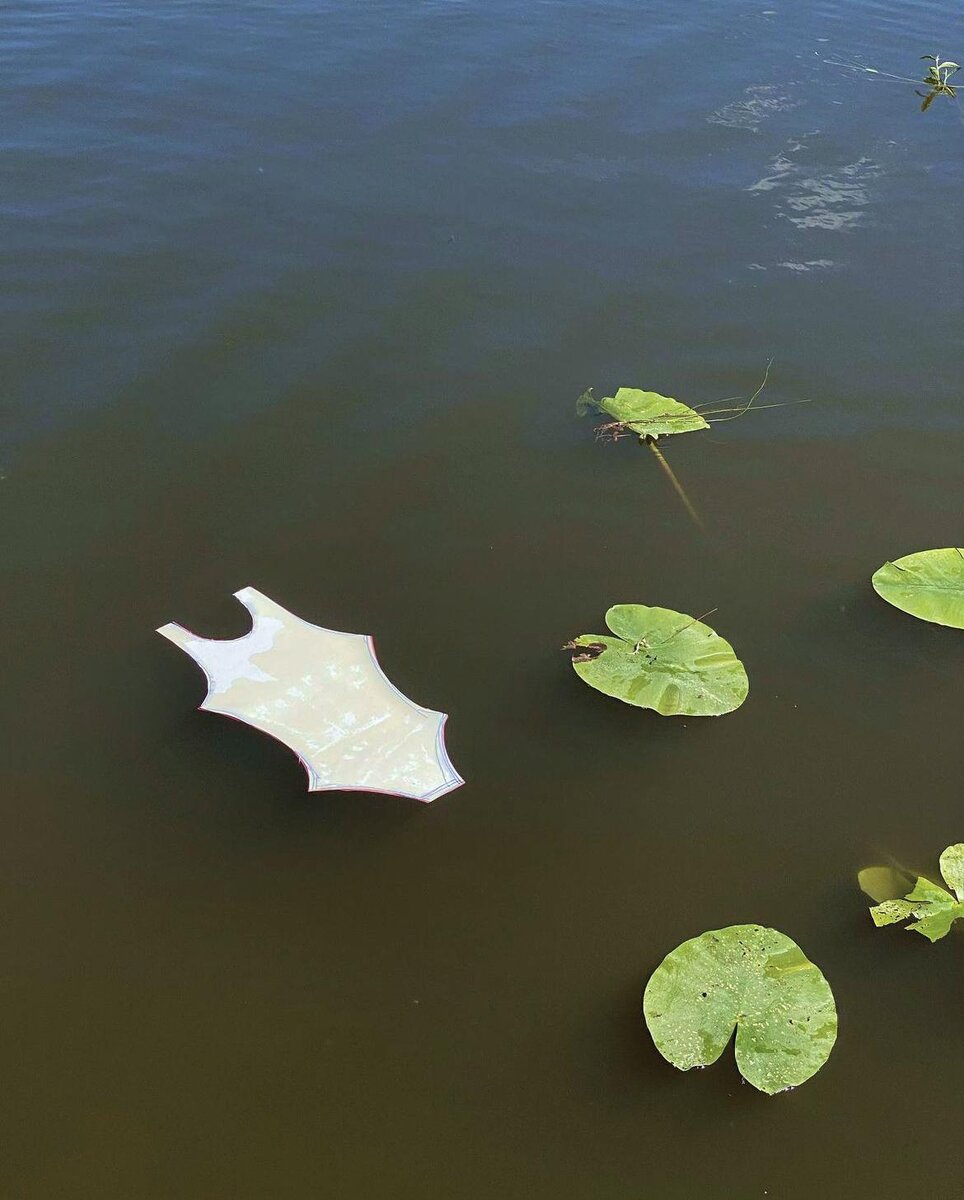   elenandrevn / INSTAGRAM (ПРИНАДЛЕЖИТ META, КОМПАНИЯ ПРИЗНАНА ЭКСТРЕМИСТСКОЙ И ЗАПРЕЩЕНА В РОССИИ)