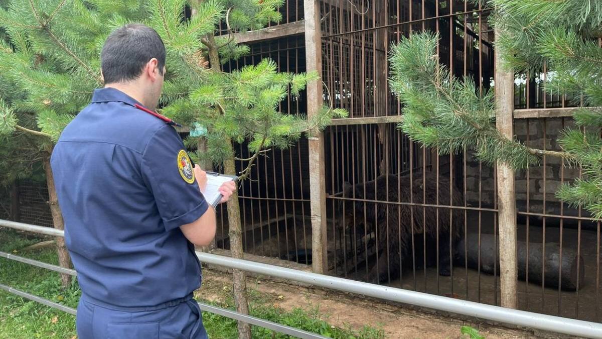    Фото: СК РФ по Тульской области