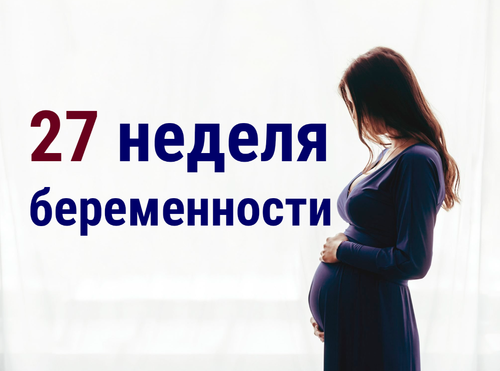 27 неделя беременности от зачатия