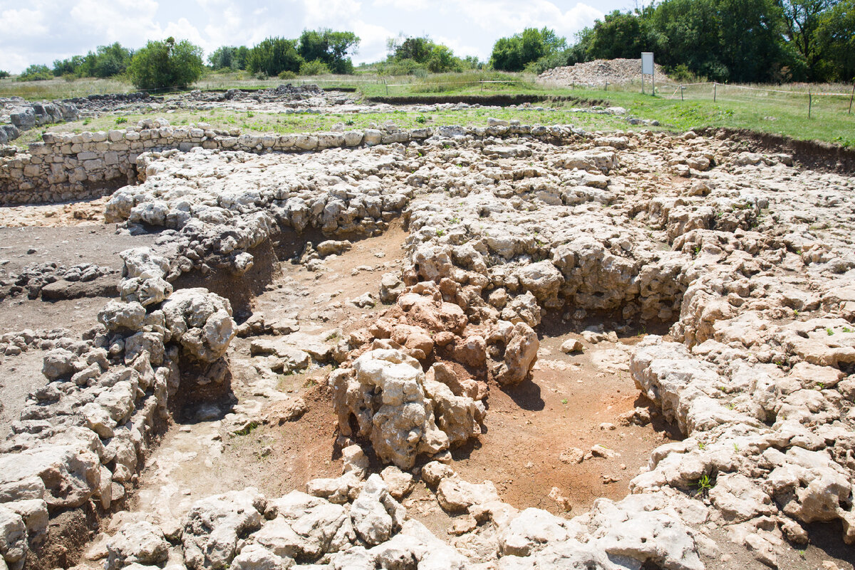 Фото: Пресс-служба Крымского федерального университета