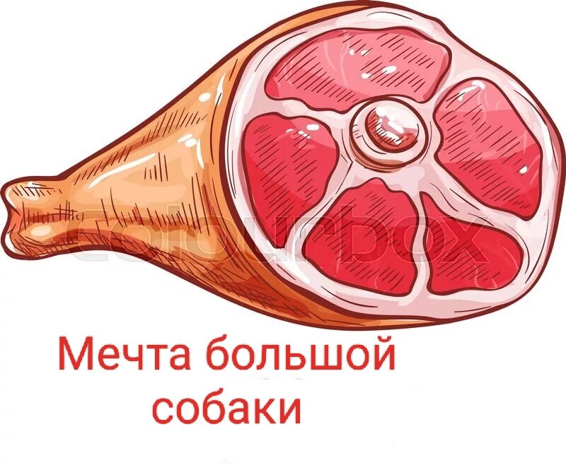 мечта большой собаки