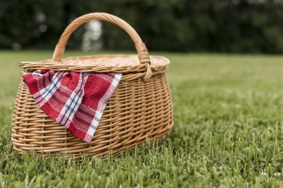    В Томске пройдет "Пикник фест" 29 июля