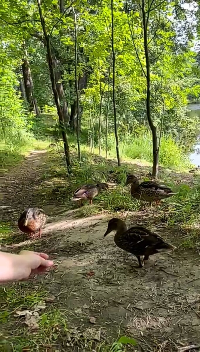 Всем хорошо