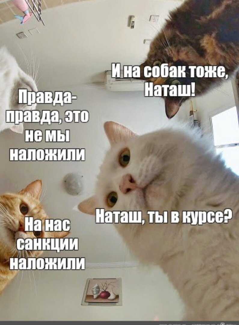 с сайта https://www.meme-arsenal.com
