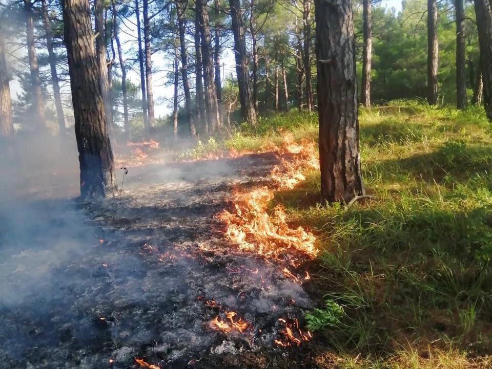 Картинка высокая пожароопасность