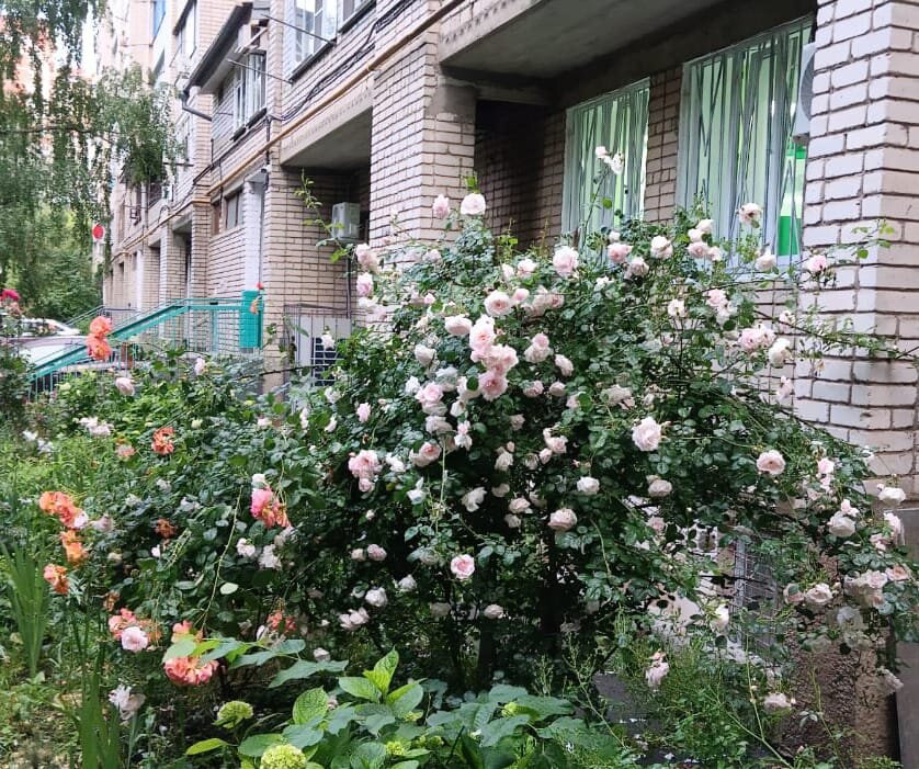 Фото респондента