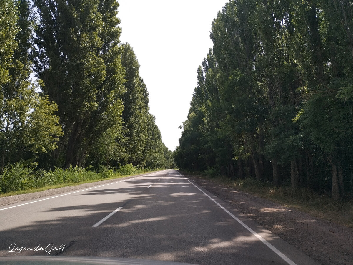 Где-то в Кировском районе...