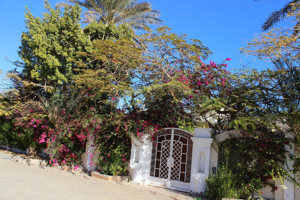 Лето в феврале