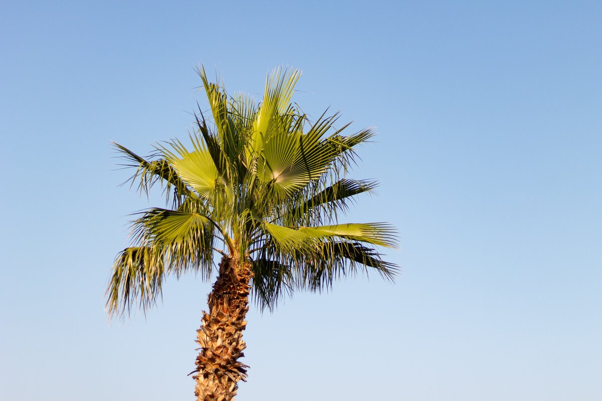 Картинка с бесплатного фотостока https://unsplash.com, автор Boglárka Salamon