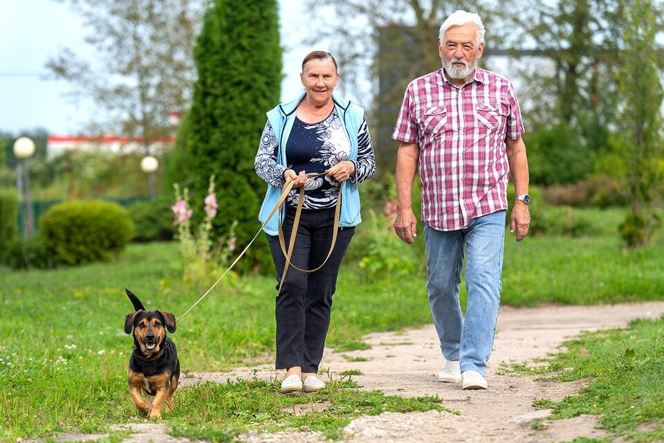    Художник Юрий Ермилов с женой и верным псом переехали жить из Харькова в российскую глубинку. Михаил ФРОЛОВ