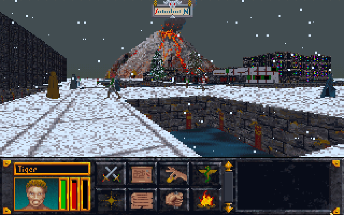 Общий вид игры