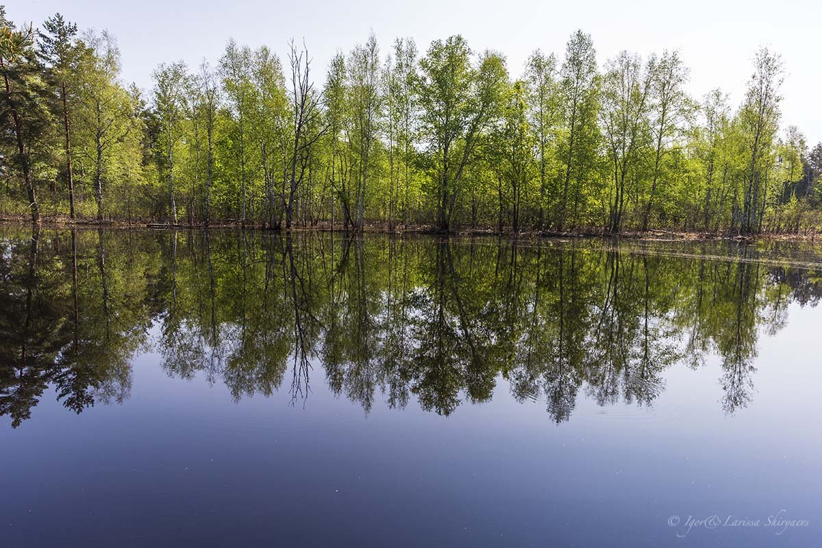 Мещера 3. Мещера 3. Озеро долгое рязанская область. Мещерский бульвар 3 к3 нижний новгород. Река пра рязанская область.