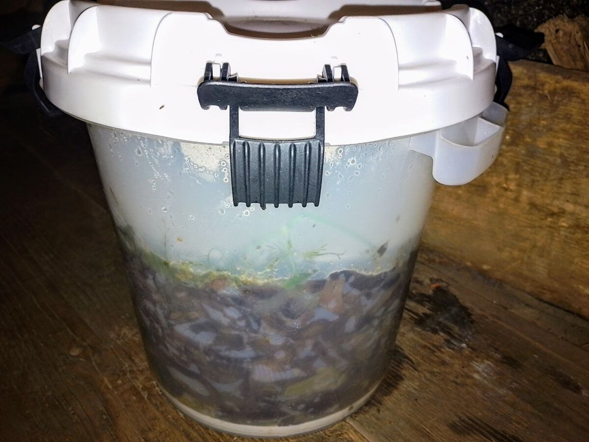 Ведро на 10 литров. Внутри пресс, герметичная крышка - отличная вещь и стоит что-то около 800 рублей