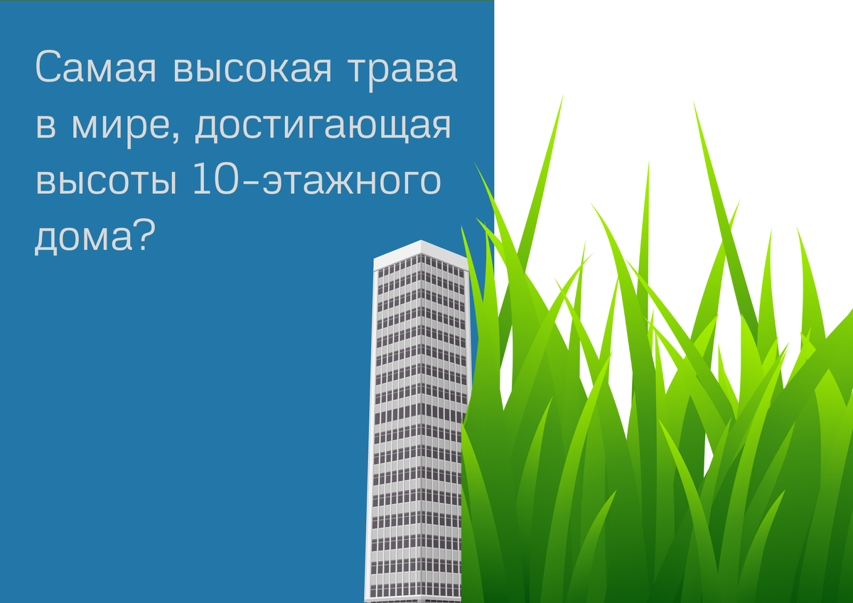 Биология – язык природы. Викторина | Челябинская Публичная библиотека | Дзен