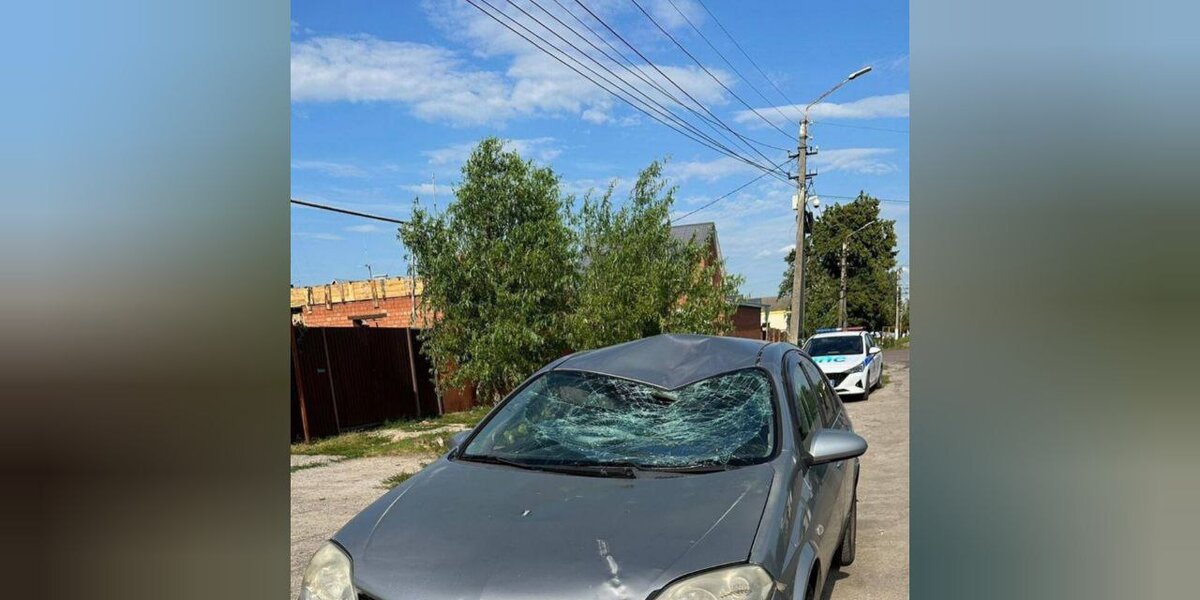 Фото: СУ СК по Воронежской области