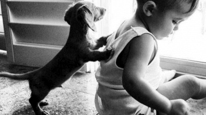     Дети и звери. adme.ru