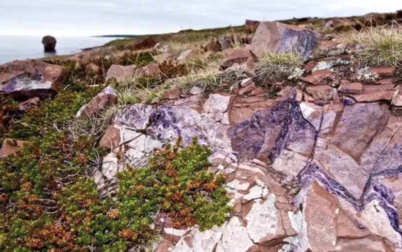 Камни кольского полуострова фото Аметист. Интересные факты и много фотографий. Эксперт по драгоценным камням Альб