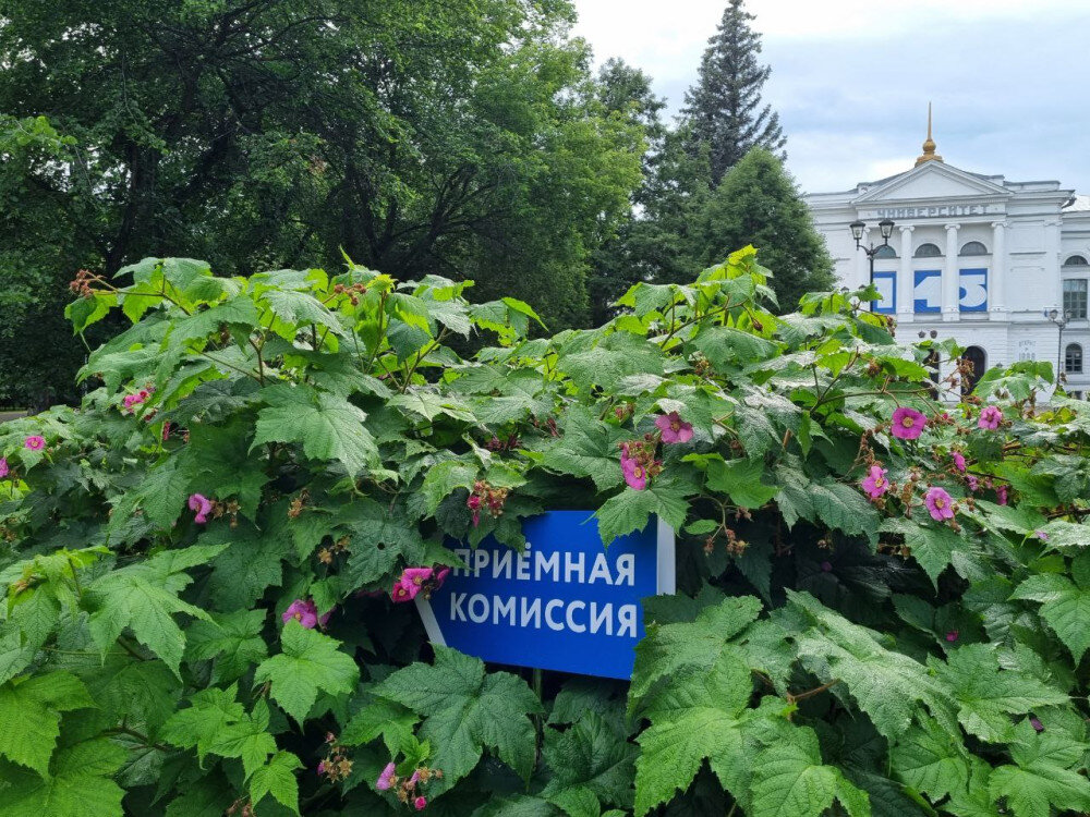 Фото: Наталья Тарасова