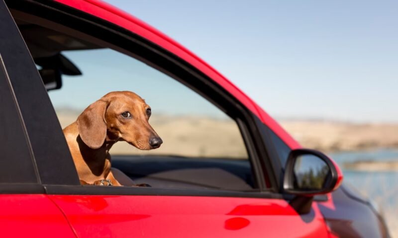 Фото freepik.com