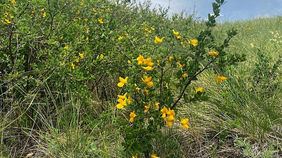 взято из открытых источников