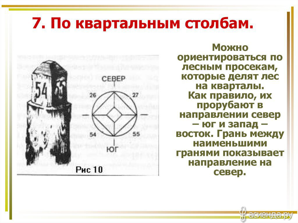 6. Ориентация по звездам