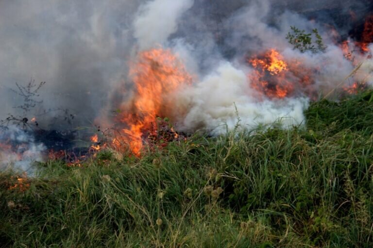    В Оренбуржье в нескольких районах и округах объявили 5 класс пожарной опасности Кристина Просвиркина