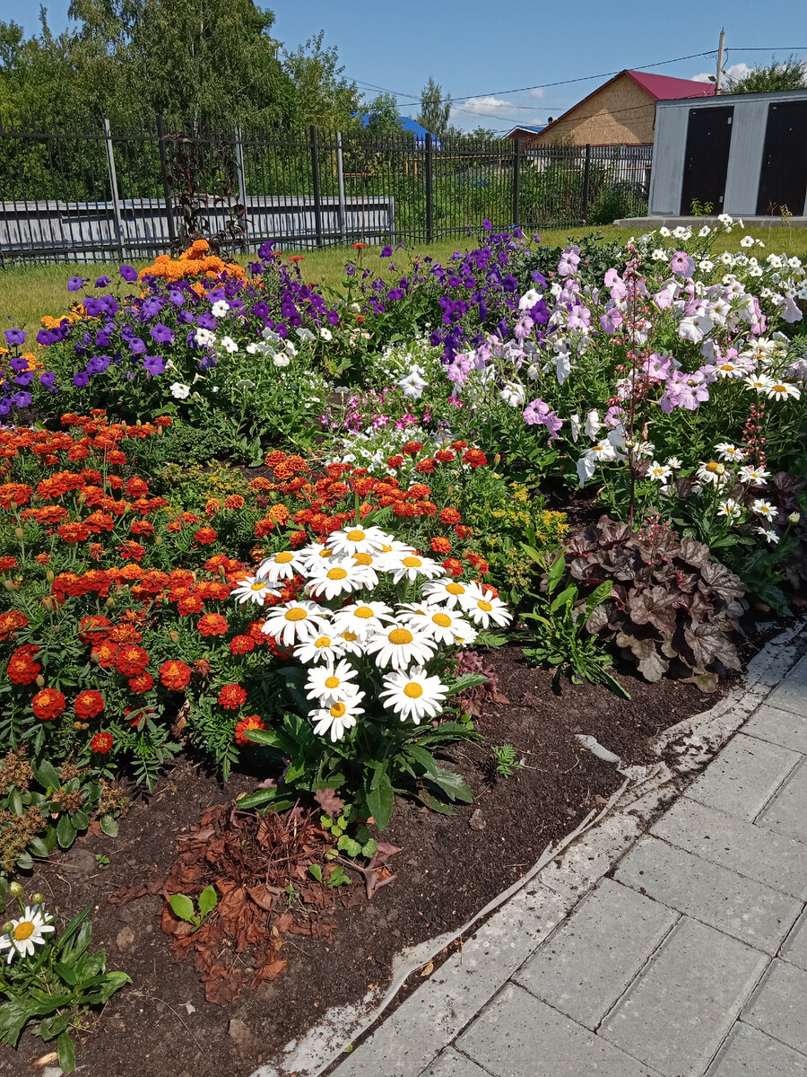 Красивая территория возле нашего храма