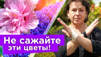 Красивейшие цветы, которые я никогда не посажу, и вам не рекомендую!