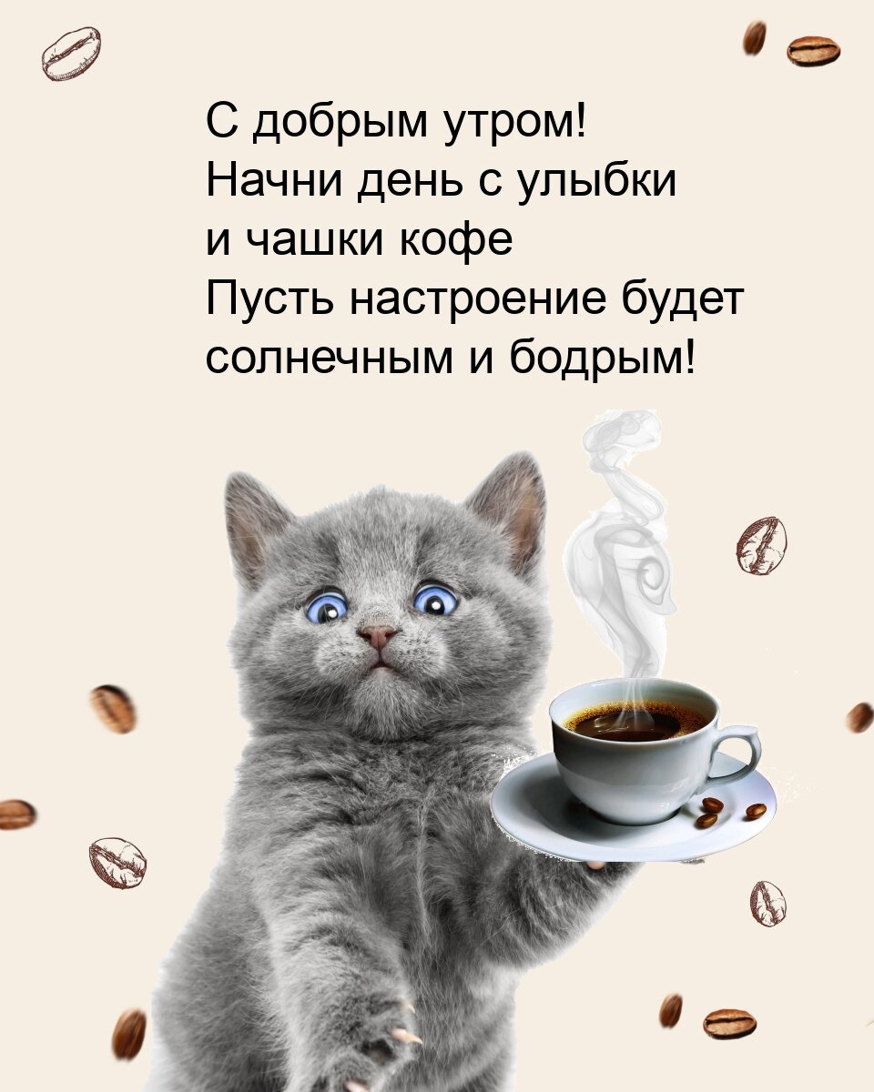 Милый котя. 
