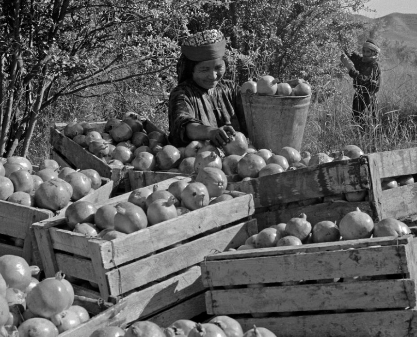 Фото С. Корытникова / РИА Новости