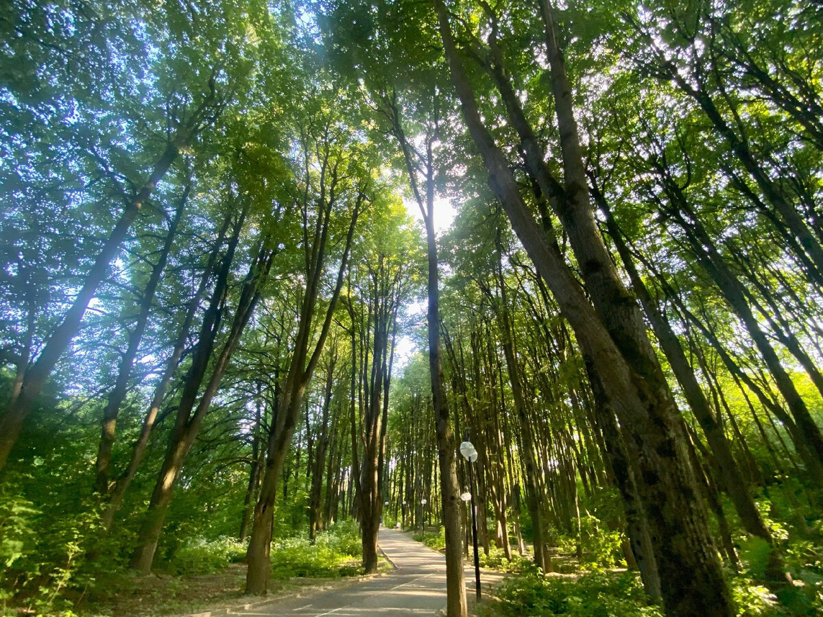 Городской парк Клин.