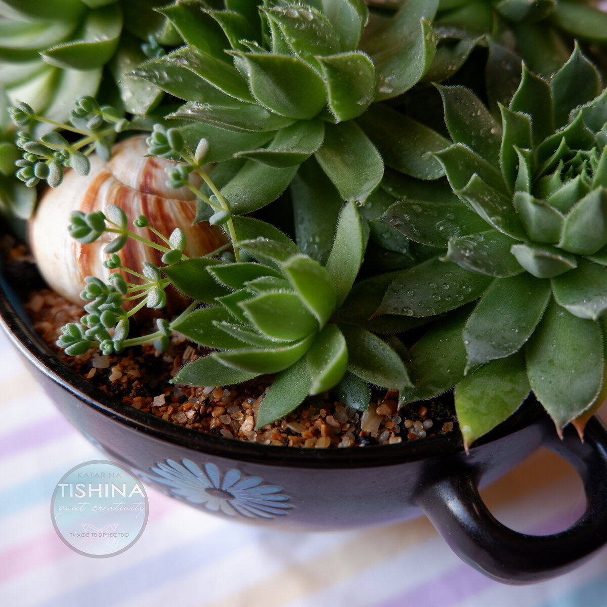 Листайте галерею, чтобы увидеть больше изображений.