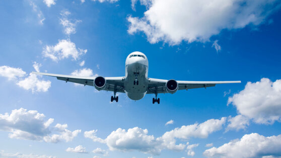    Летевший из Москвы в Минводы самолет запросил экстренную посадку в Волгограде Ирина Петрова