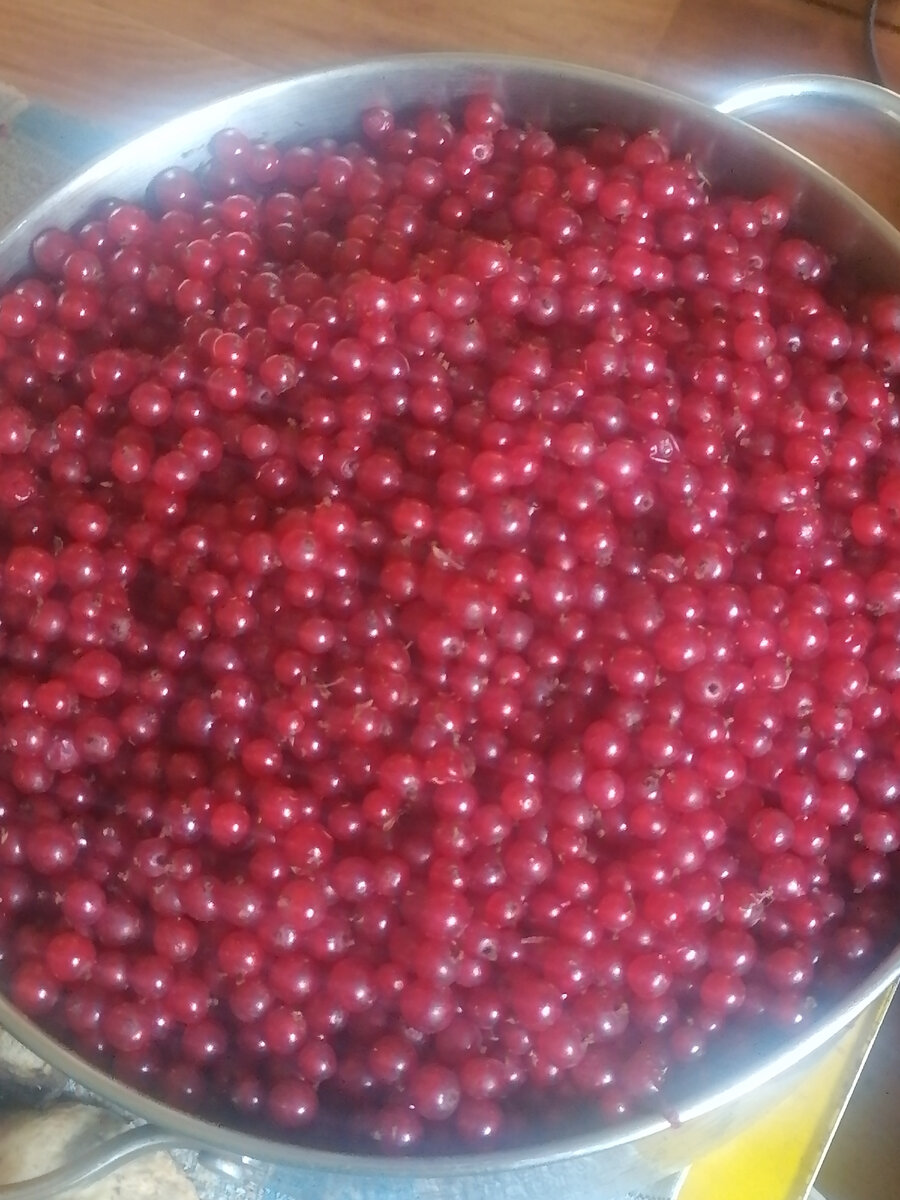 6 литров смородины