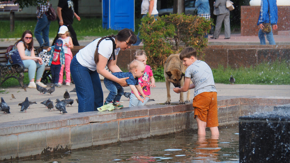 Помоги страждущему
