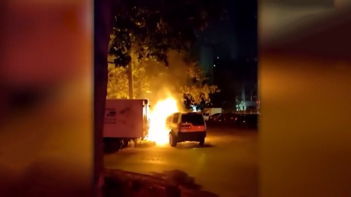 Фото: скриншот видео