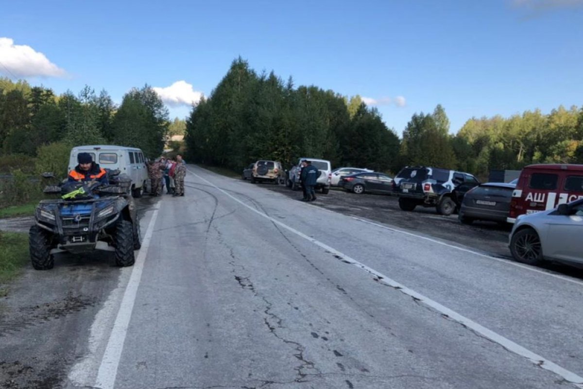    Поиски пропавших в лесу сборщиц грибов завершены в Челябинской области