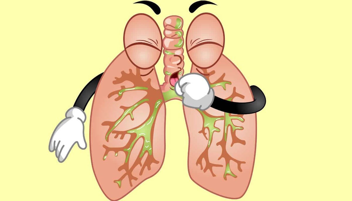 4 способа очистить лёгкие в домашних условиях - Чемпионат