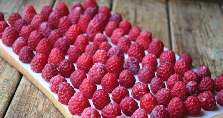 замороженная малина в контейнере. можно заморозить малину. хранение малины. можно заморозить малину. шоковая заморозка малины.