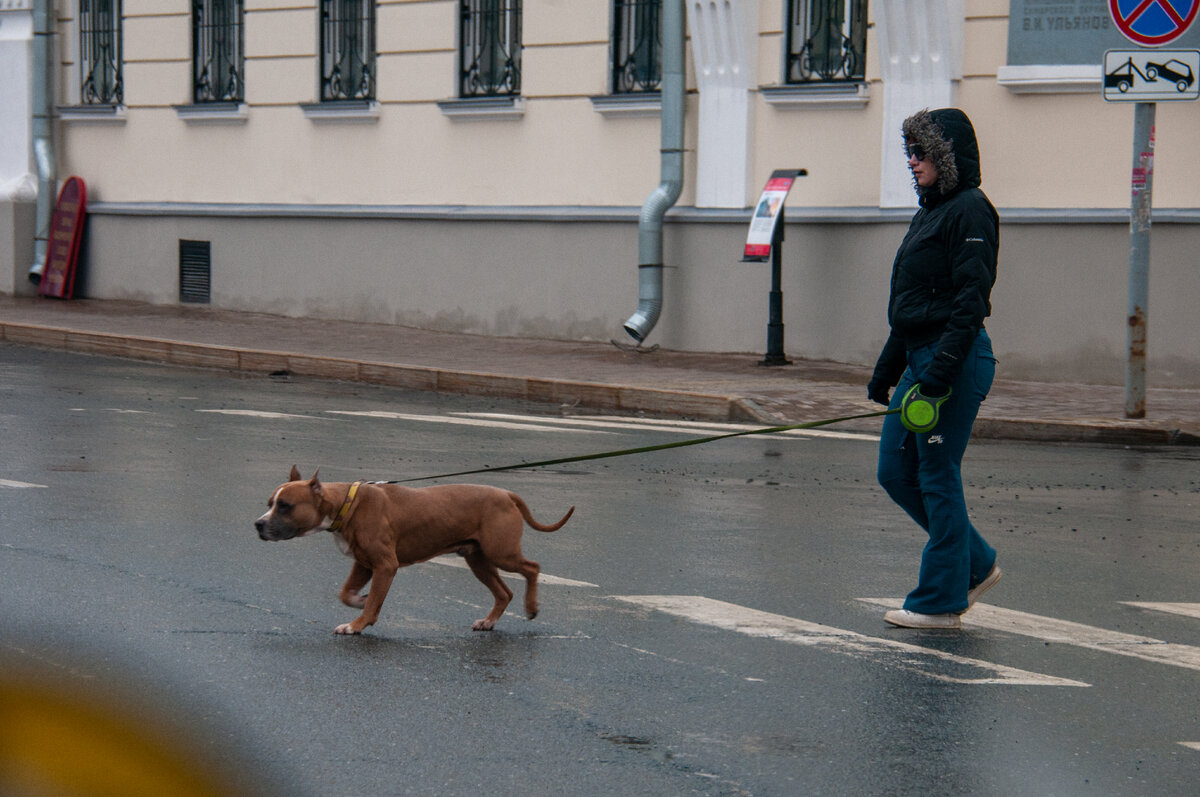 Фото: Светлана Возмилова/Globallookpress