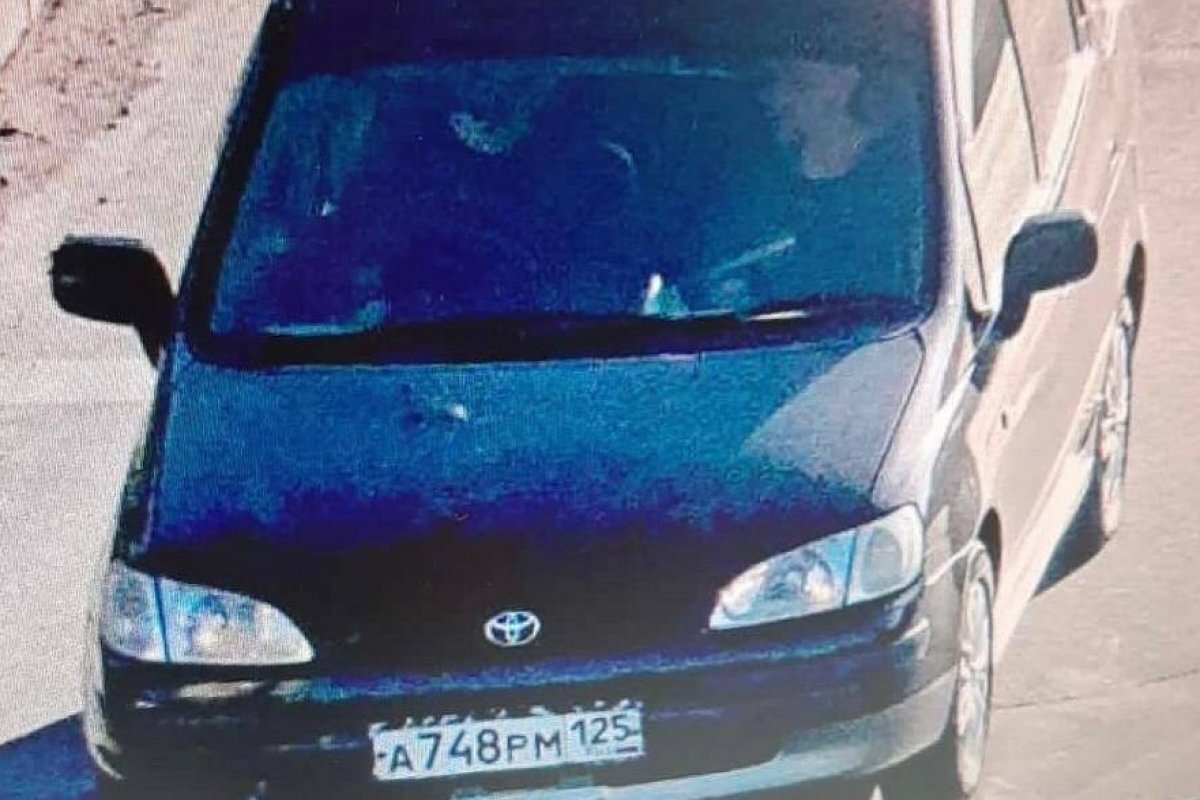    В Хабаровске разыскивают водителя, сбившего двух девушек на переходе