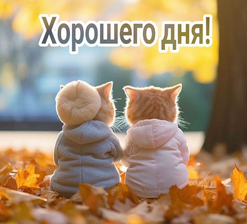 Яндекс. Открытый источник 